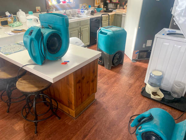 Best Mold removal after water damage  in Dickinson, ND
