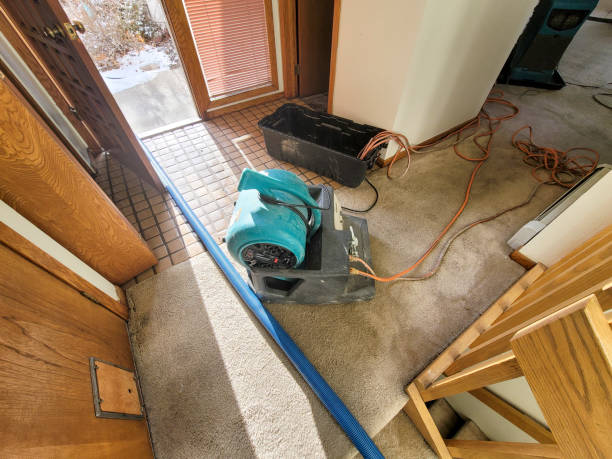 Best Water damage restoration near me  in Dickinson, ND