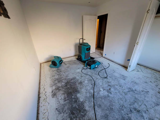 Best Sewage cleanup and water damage restoration  in Dickinson, ND