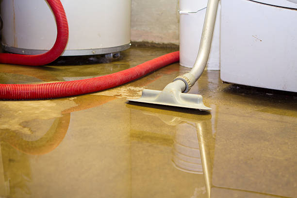  Dickinson, ND Water damage restoration Pros