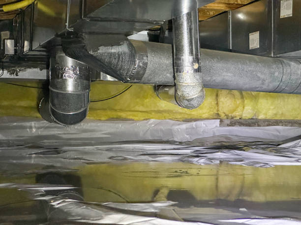 Best Water damage restoration services  in Dickinson, ND
