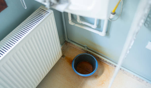 Best Flood damage cleanup  in Dickinson, ND