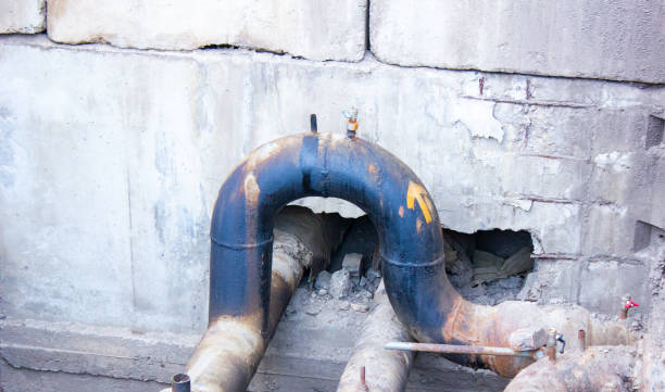 Best Water damage mitigation services  in Dickinson, ND