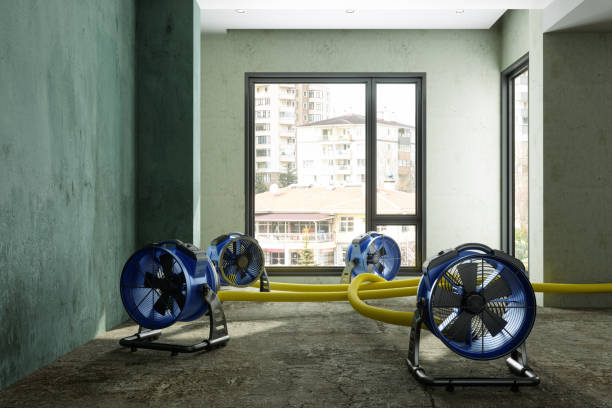 Local water damage restoration in Dickinson, ND